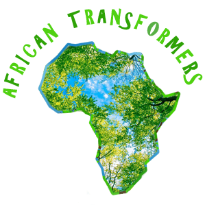 African Tansformers